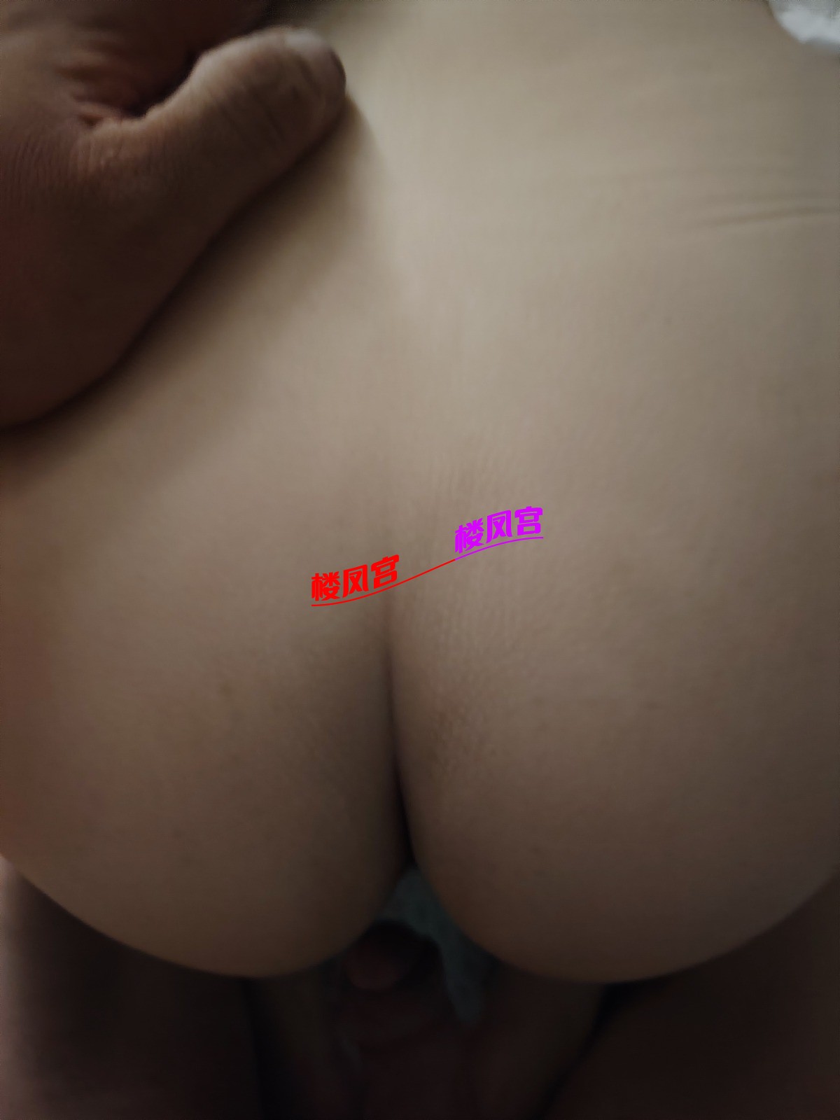 1000049676.jpg