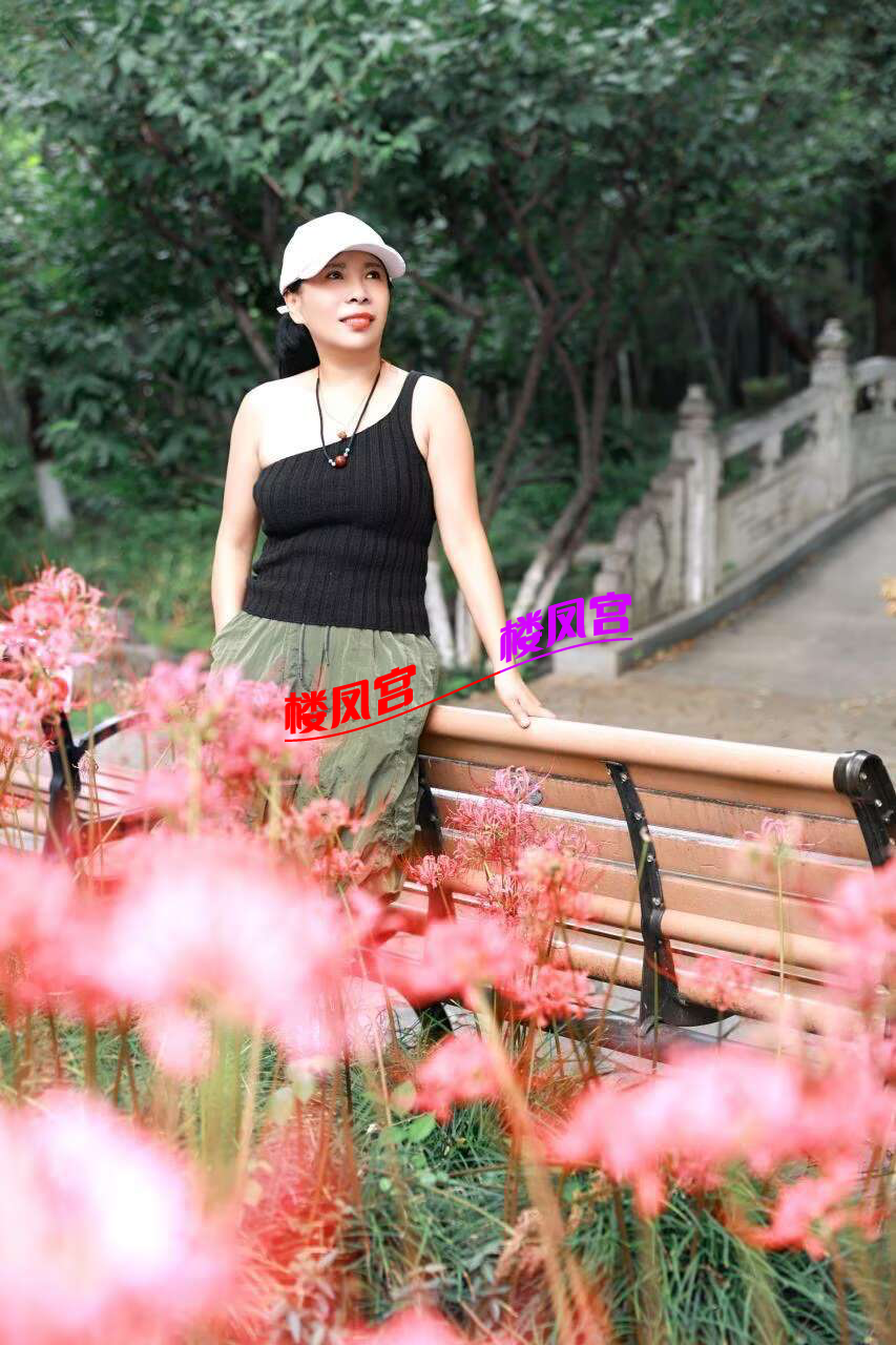 2448D06343F3265FC579ED4409E111BB.png