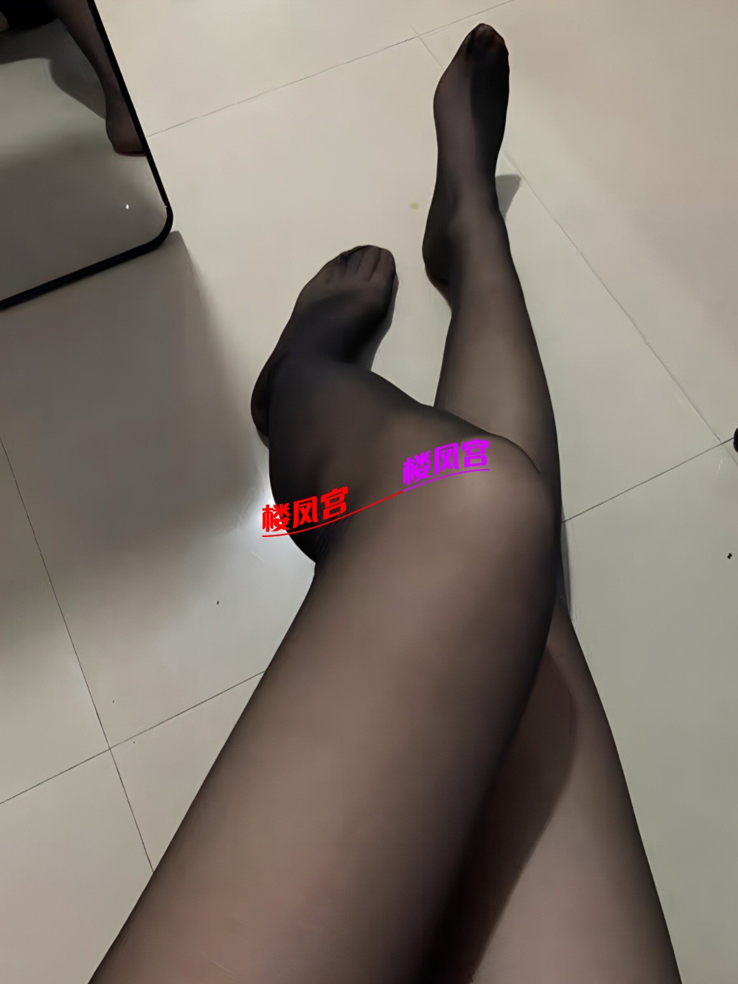 7795.jpg
