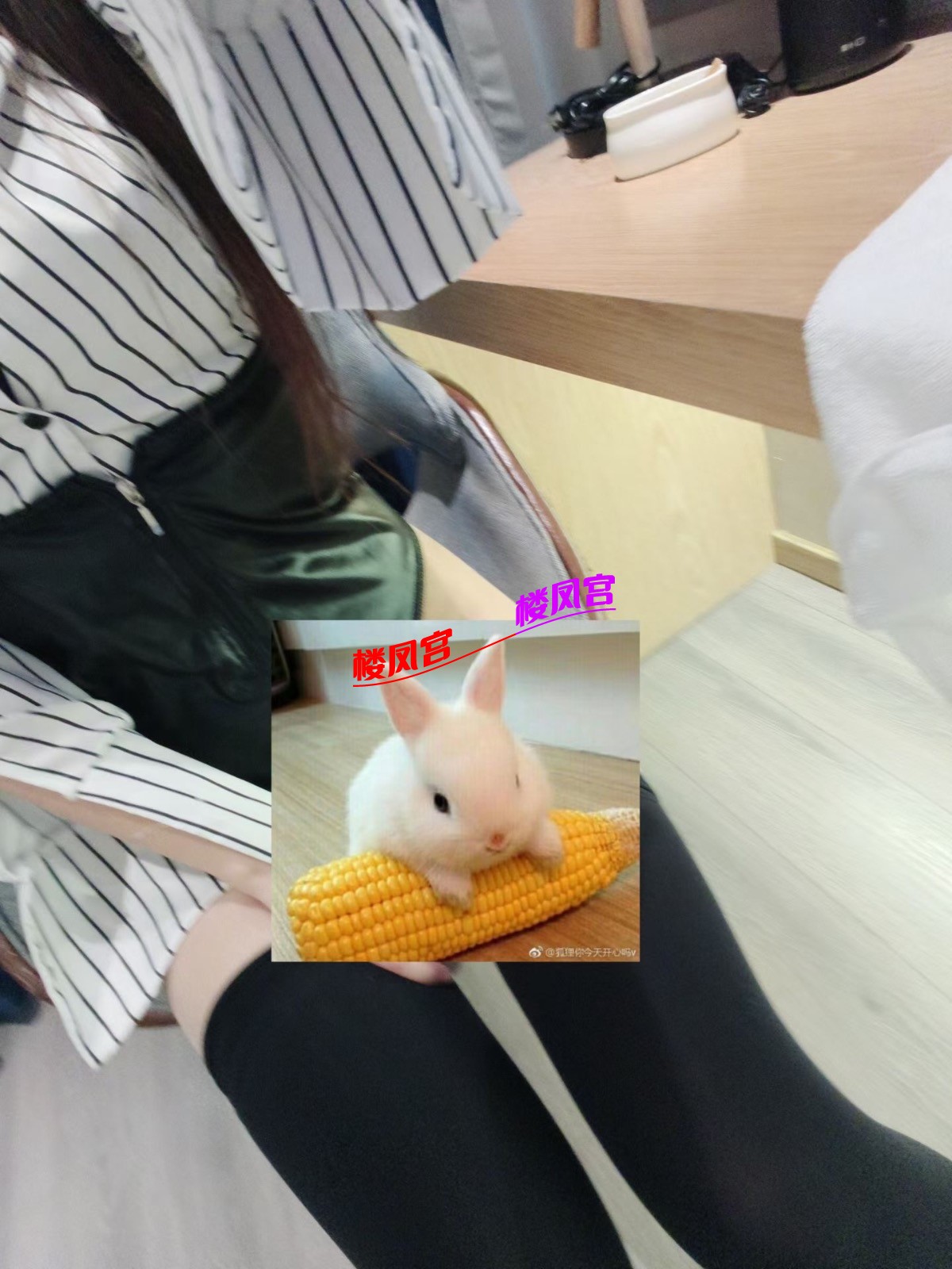 915d0c5e6a1b881f9be09b7dbb971cb7.jpeg