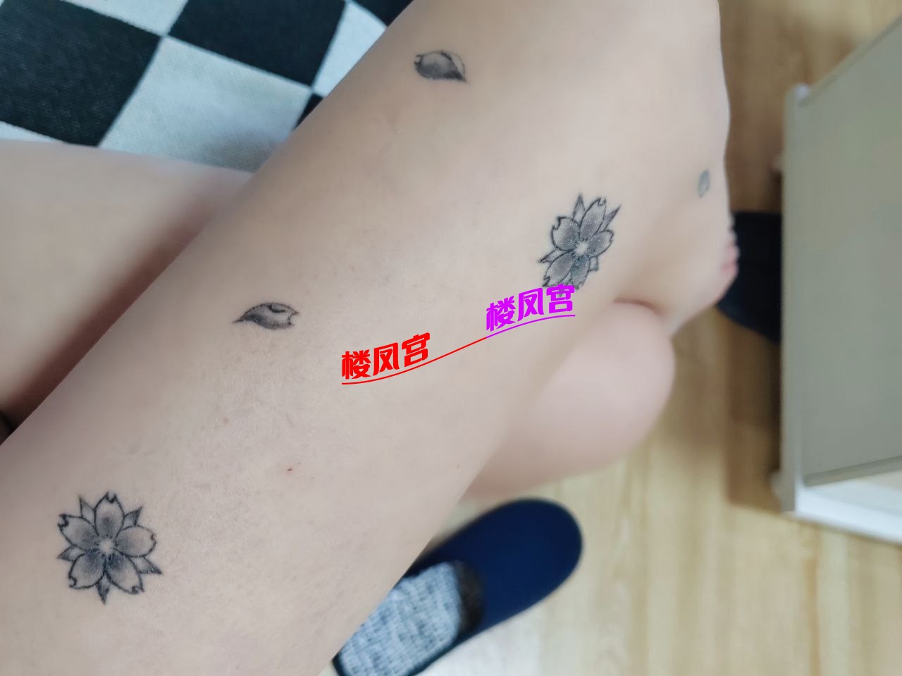 1000784847.jpg
