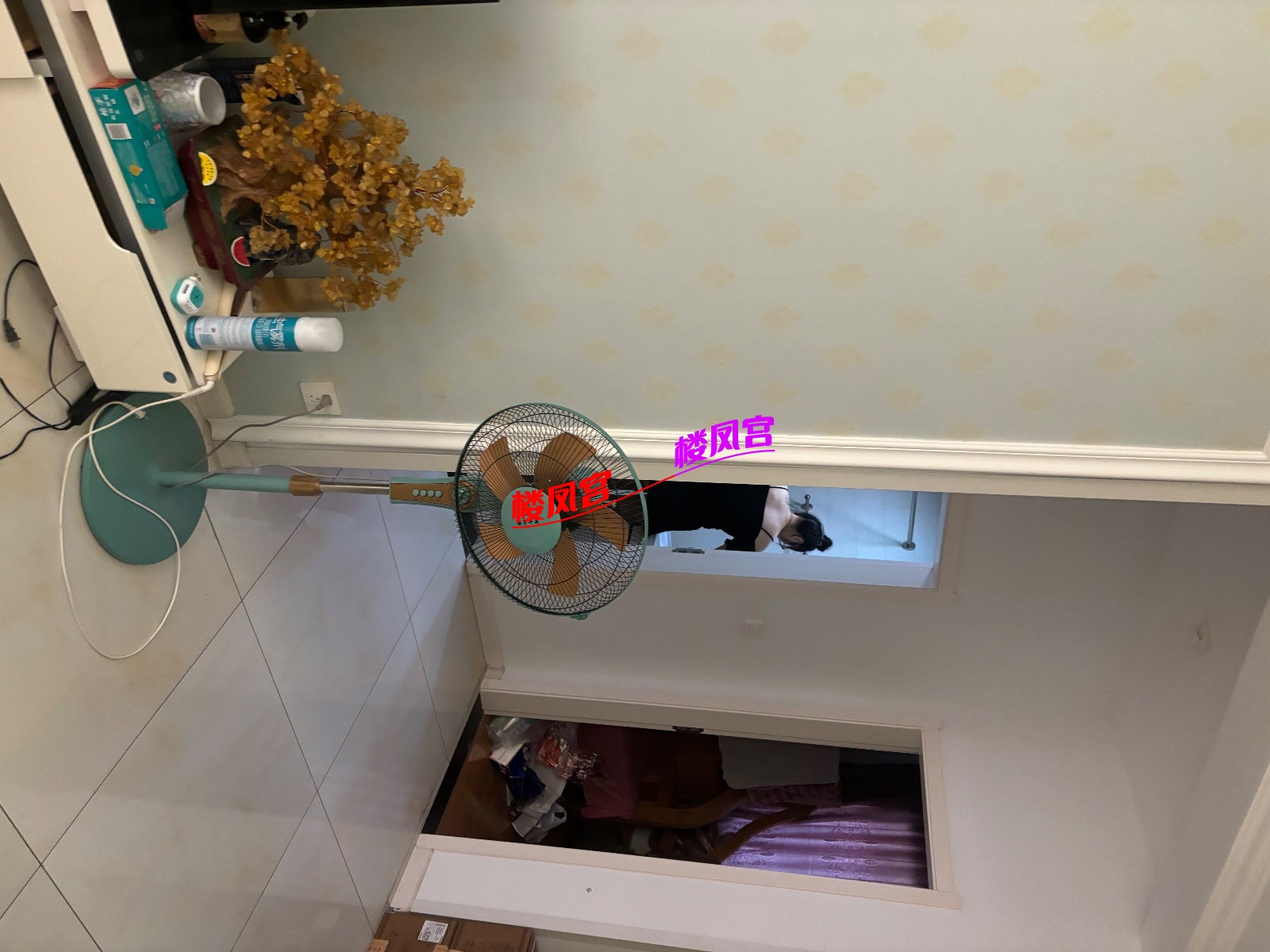 IMG_9839.jpeg