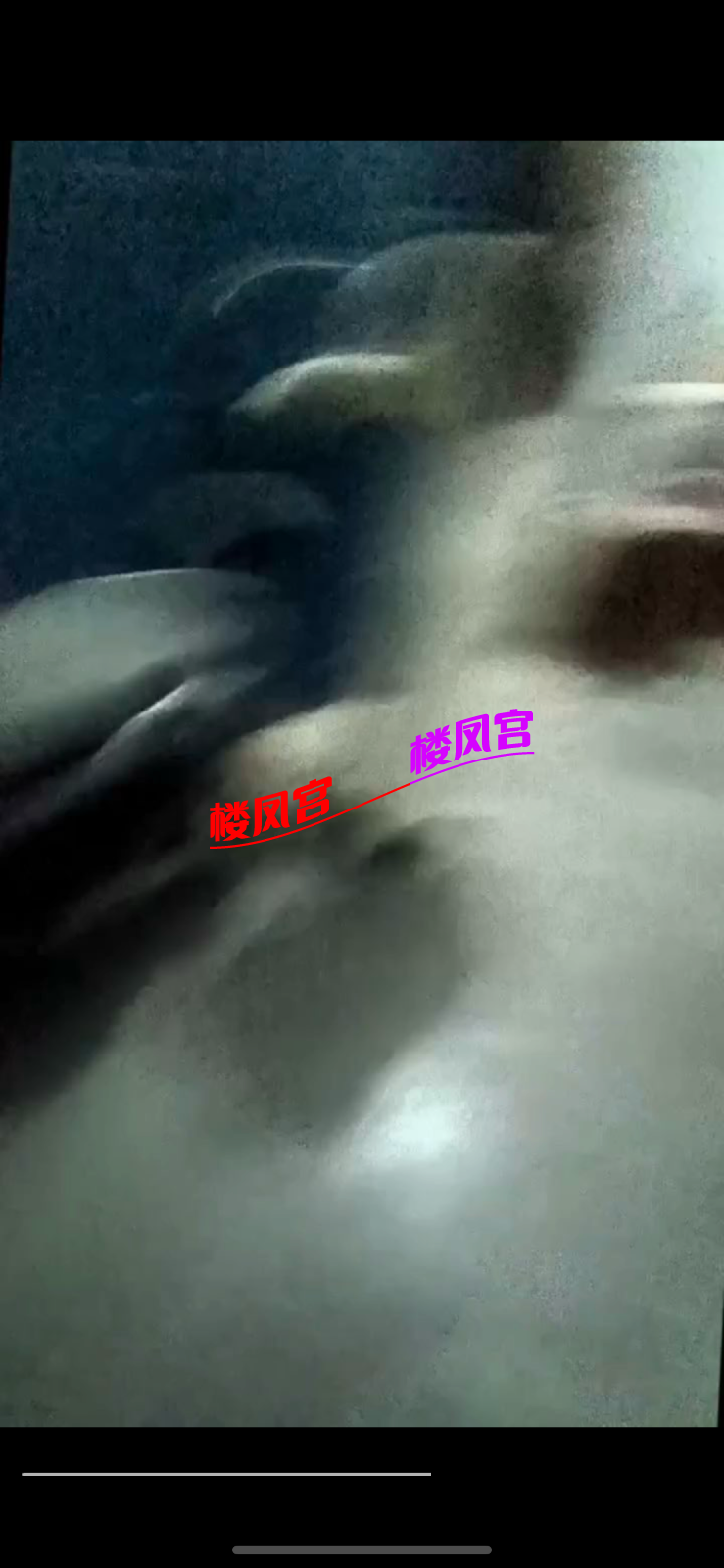 IMG_6823.png