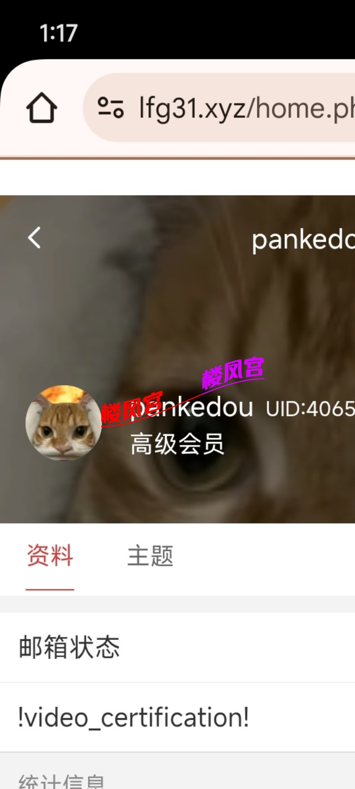 1002716809.jpg