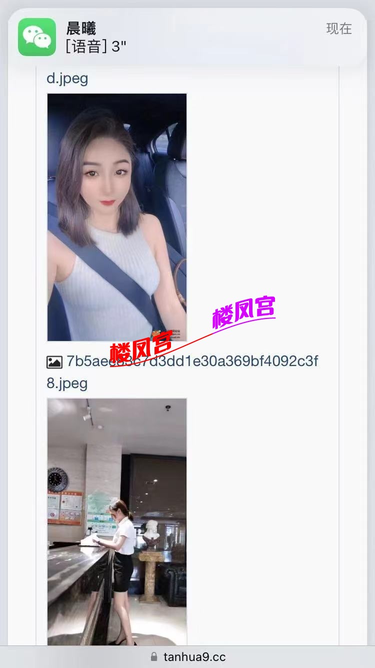 4c2f41ac0885c621d963479fe17582ae.jpeg