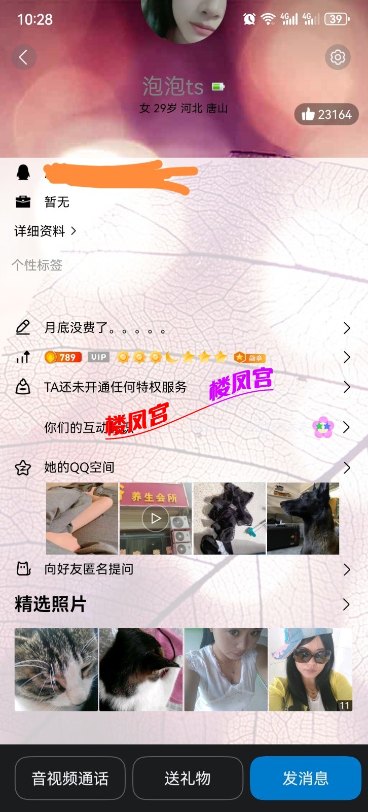 Screenshot_20251210_222912.jpg