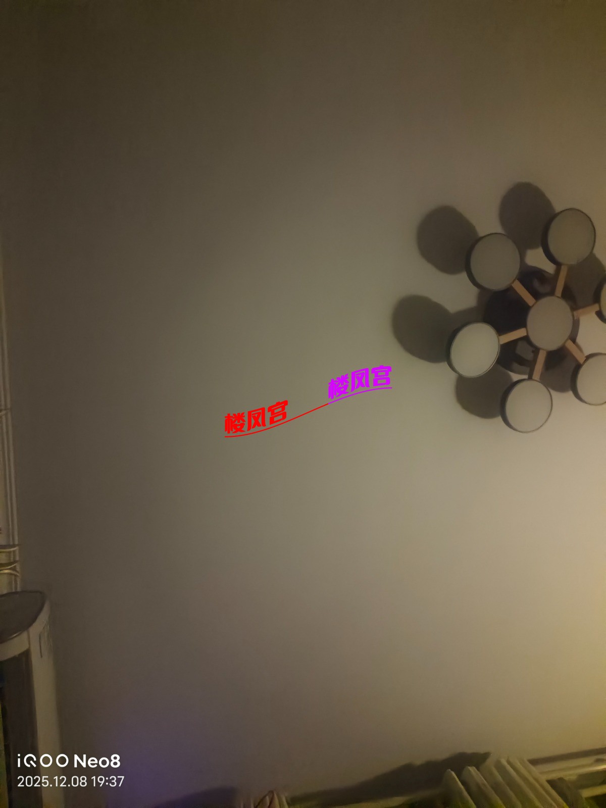 IMG_20251208_193732.jpg