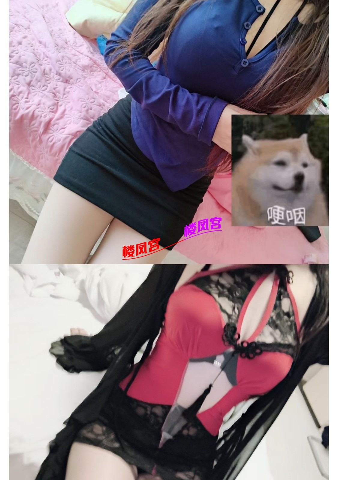 1000036587.jpg