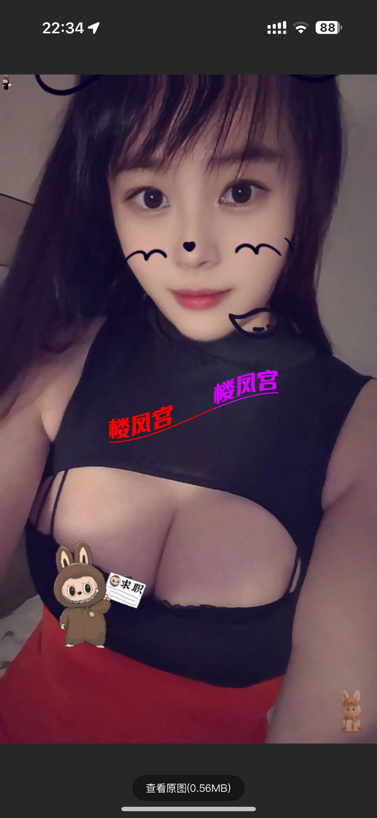 IMG_0443.png