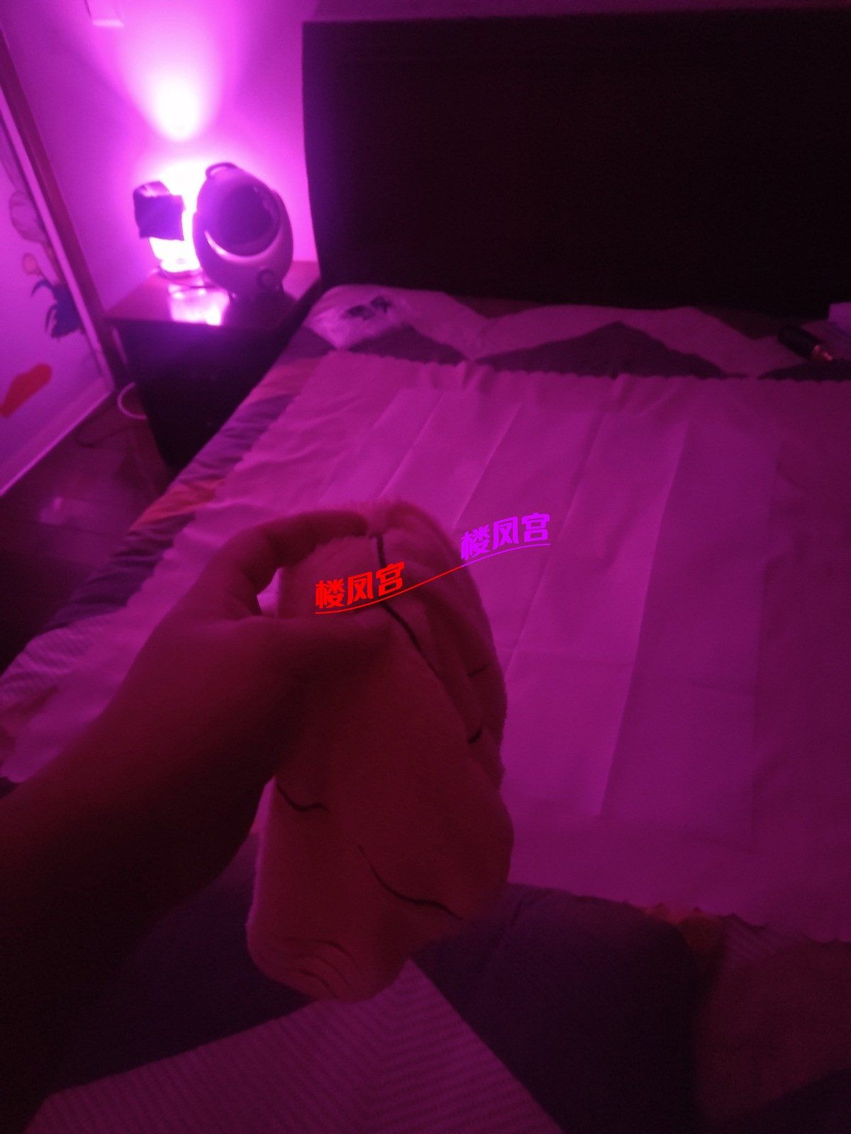 1000014351.jpg