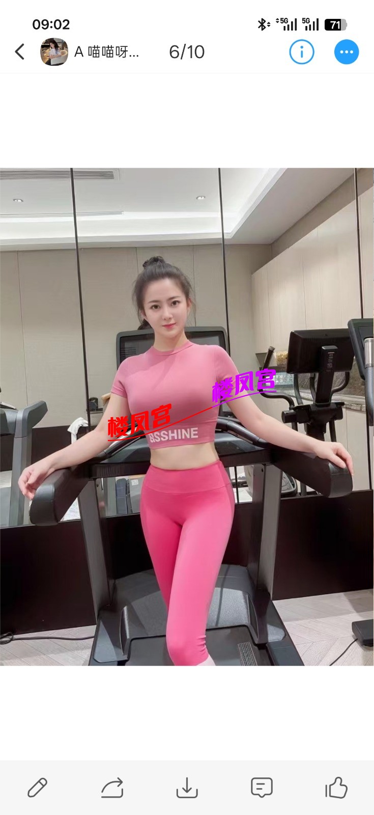 2646.jpg
