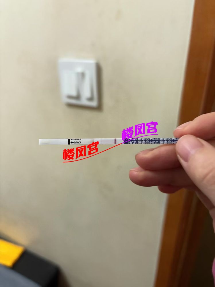 微信图片_20251219142355_8_5.jpg