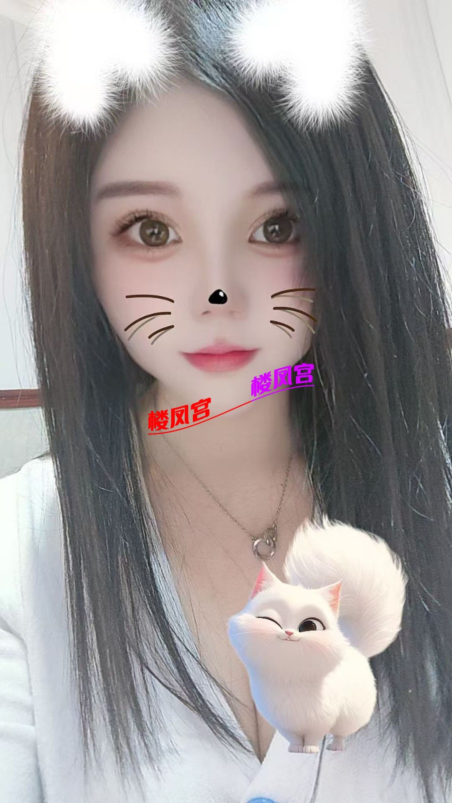 mmexport1766977111260.jpg