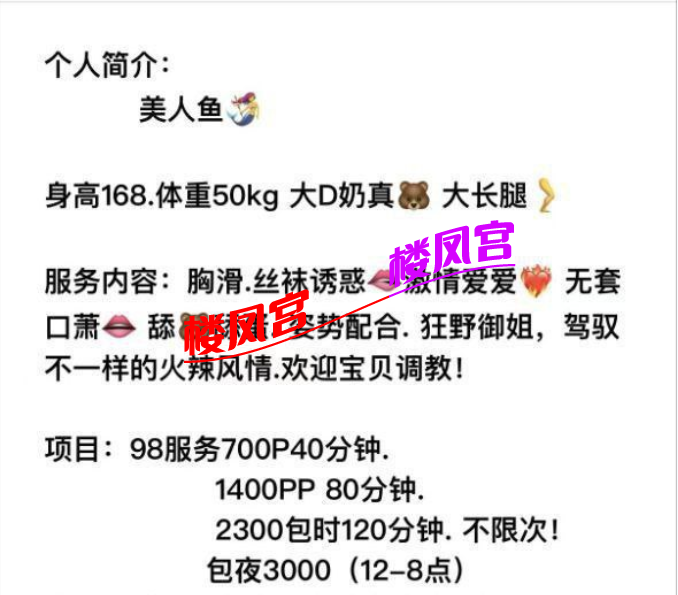 48800000.png