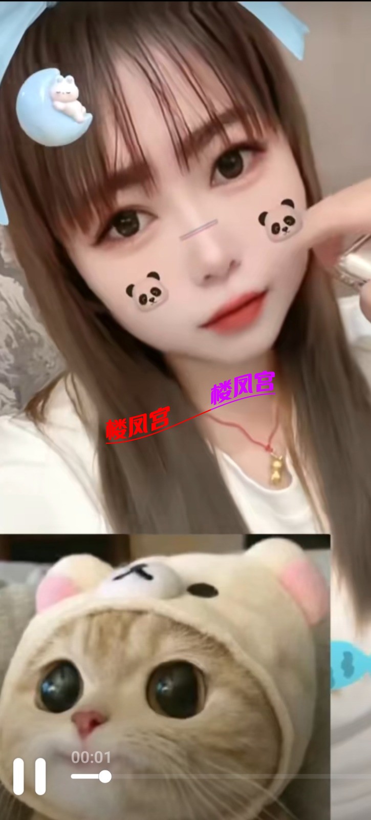Screenshot_20251231_235333.jpg