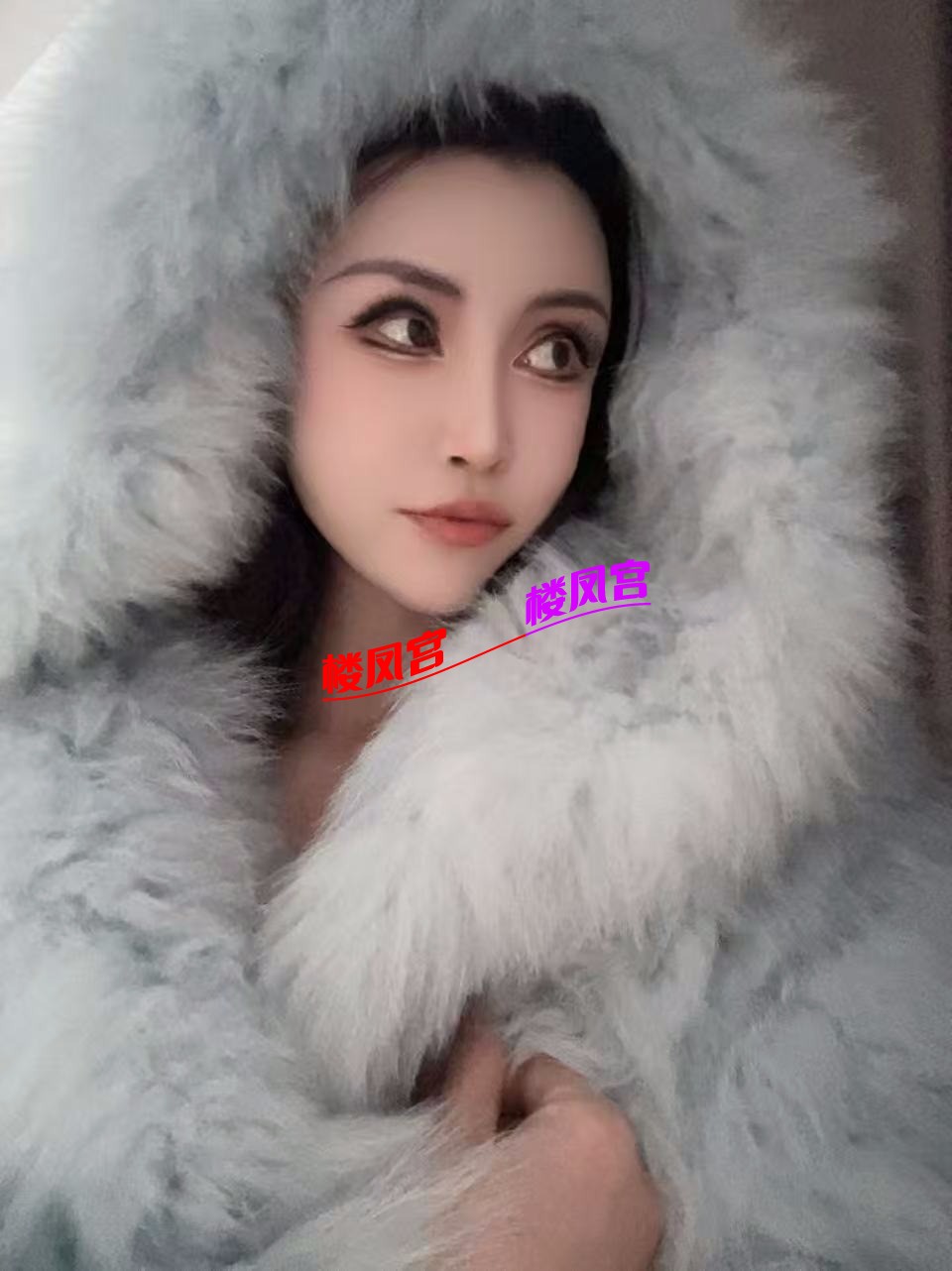 mmexport1767510816401.jpg