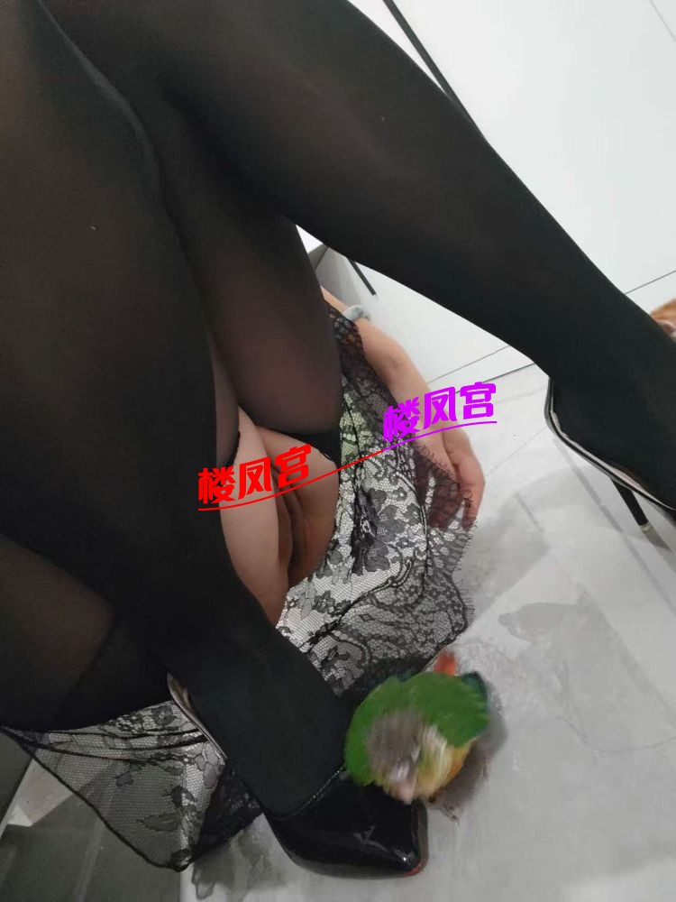 mmexport1767769130503.jpg