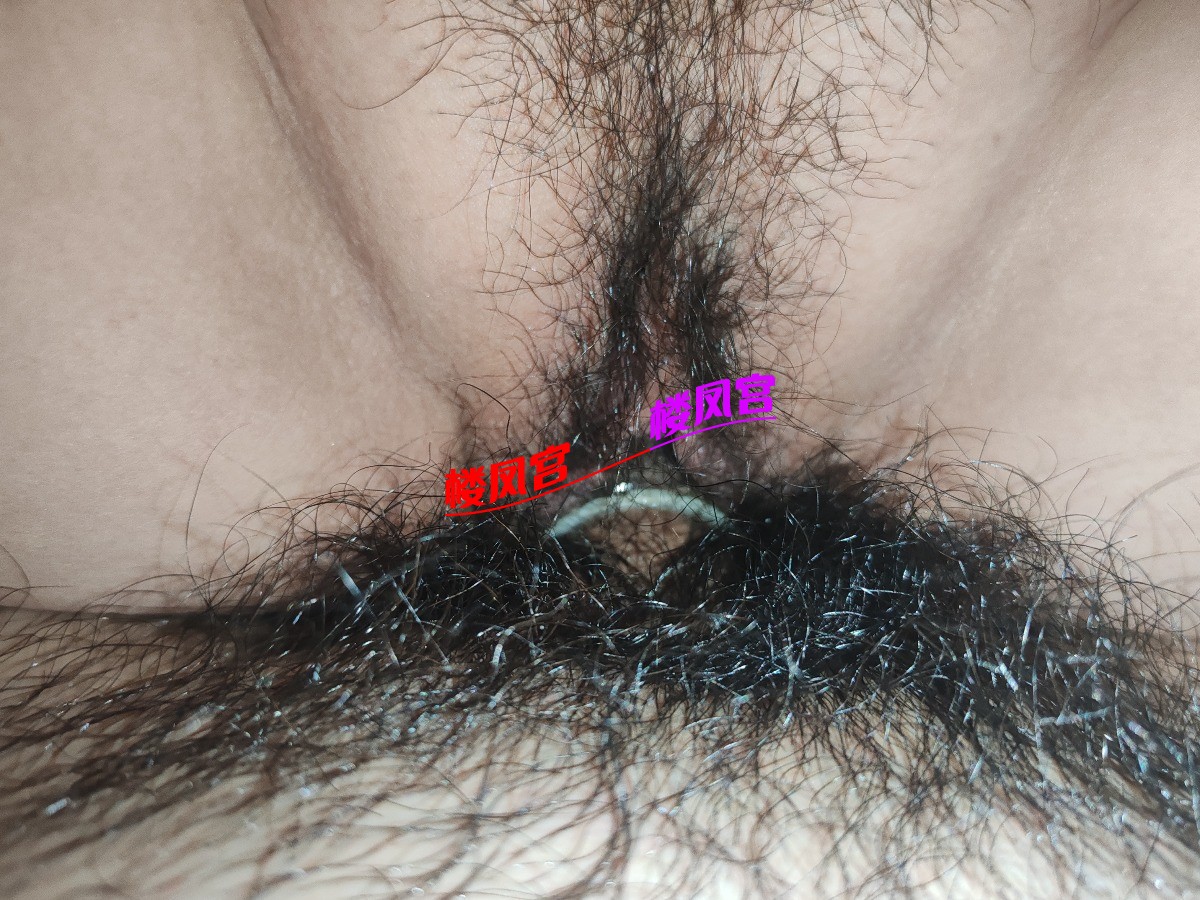 1000103950.jpg