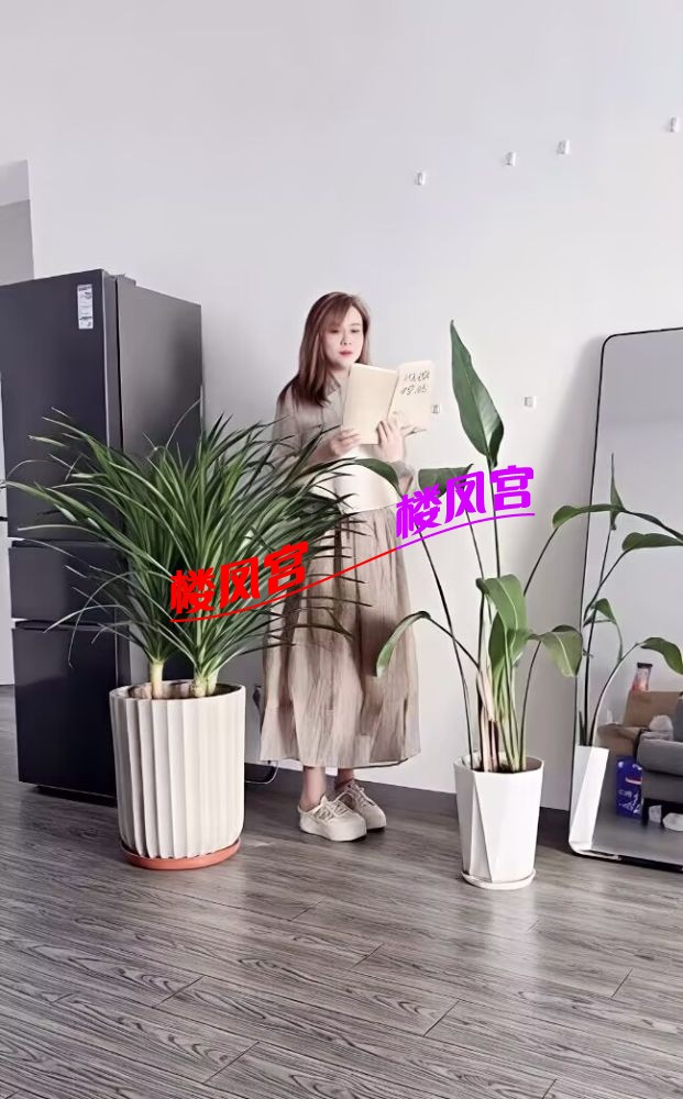 A2BCF636ECC4D2C53E3A6A966EF92FD1.jpg