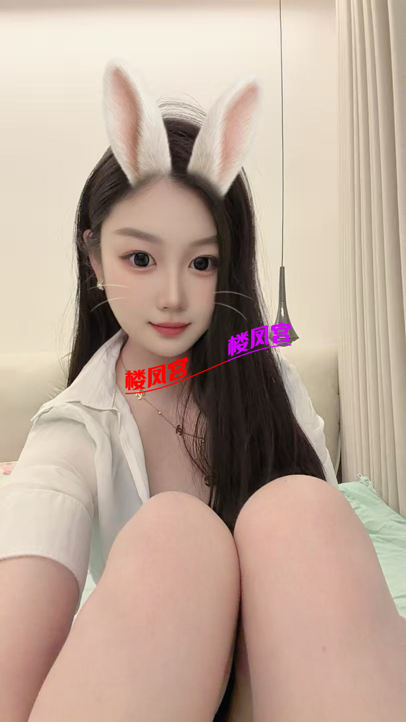 96kx4l0z2395719.png