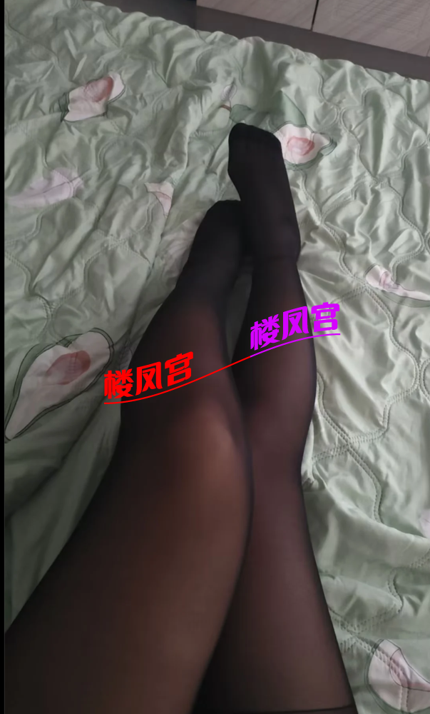PixPin_2026-01-16_16-08-24.png