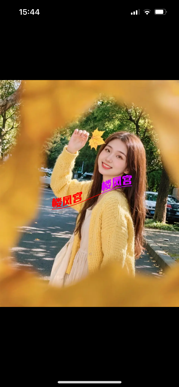 IMG_4602.png