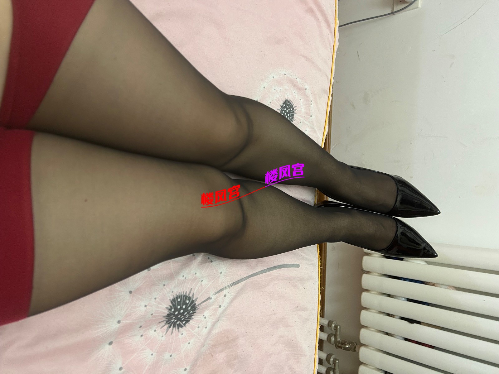 IMG_0137.jpeg
