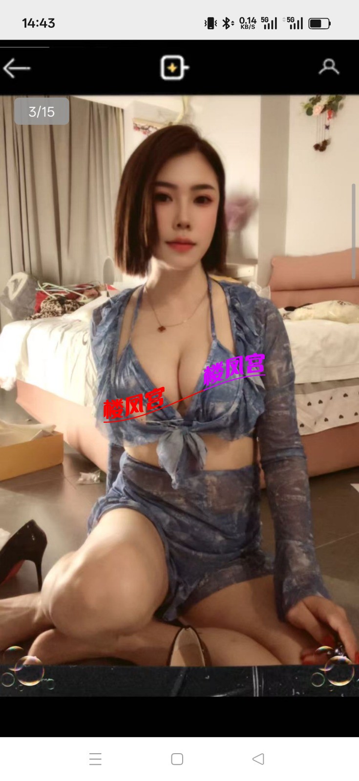 4506.jpg