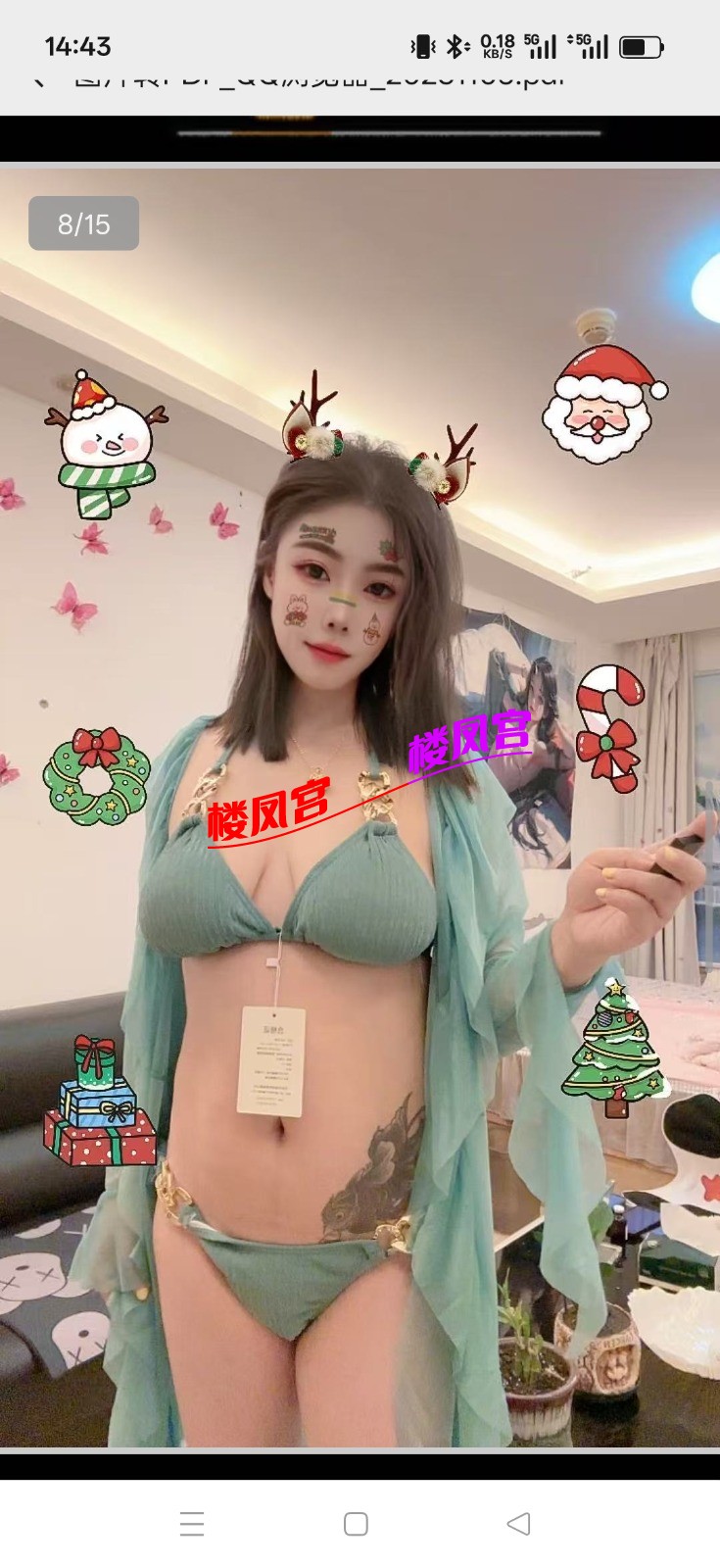4509.jpg