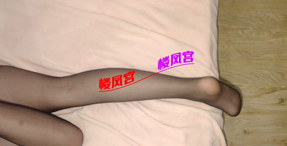 微信图片_20260120190952_209_96.jpg