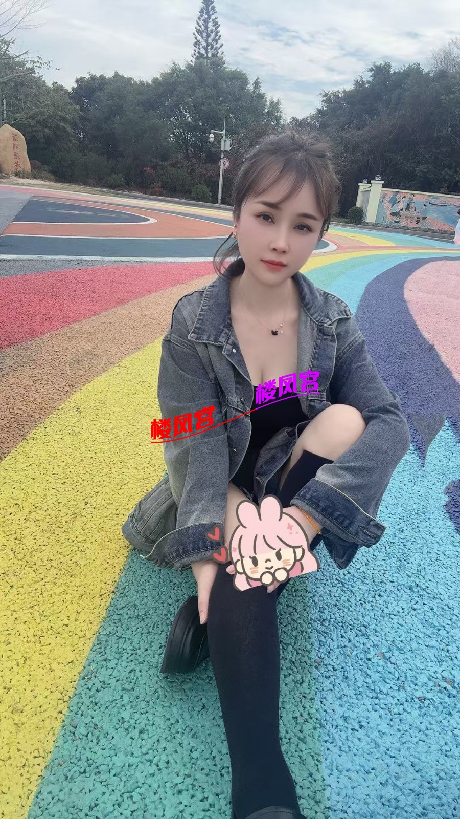 95512881.jpg