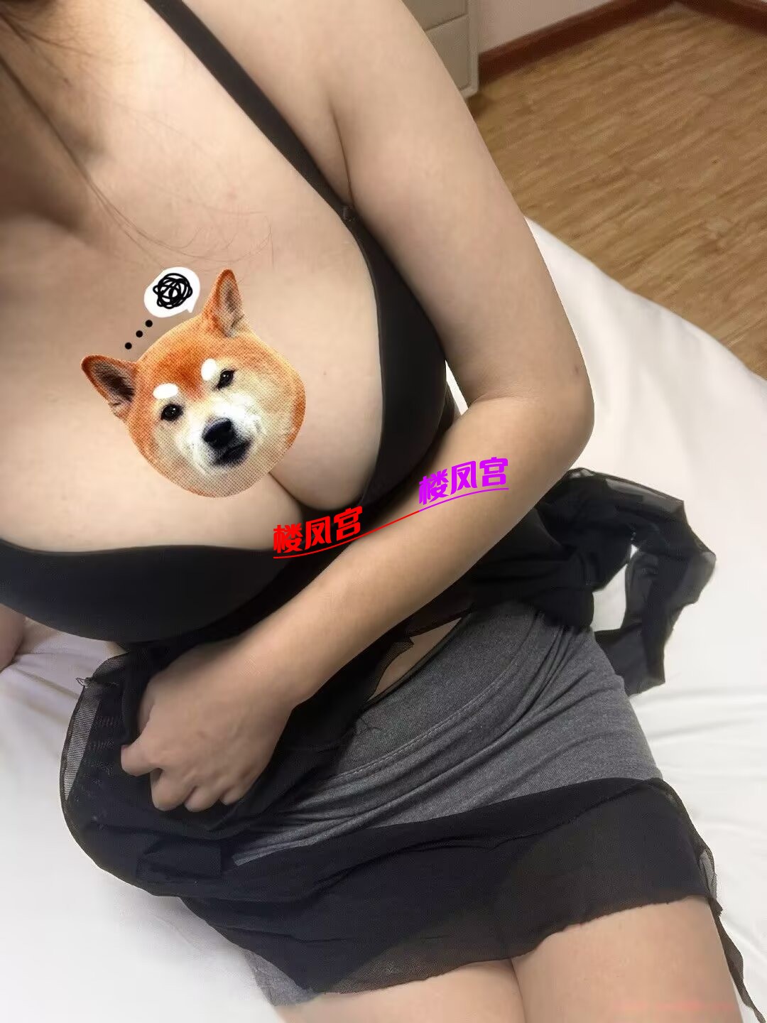 Image_1769131939987.jpg