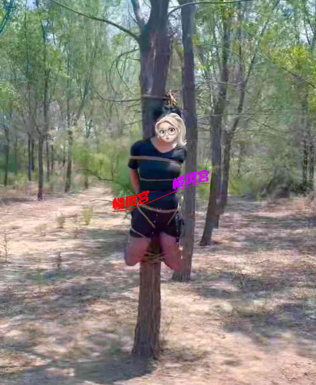 微信图片_20260124151854_1421_59.jpg