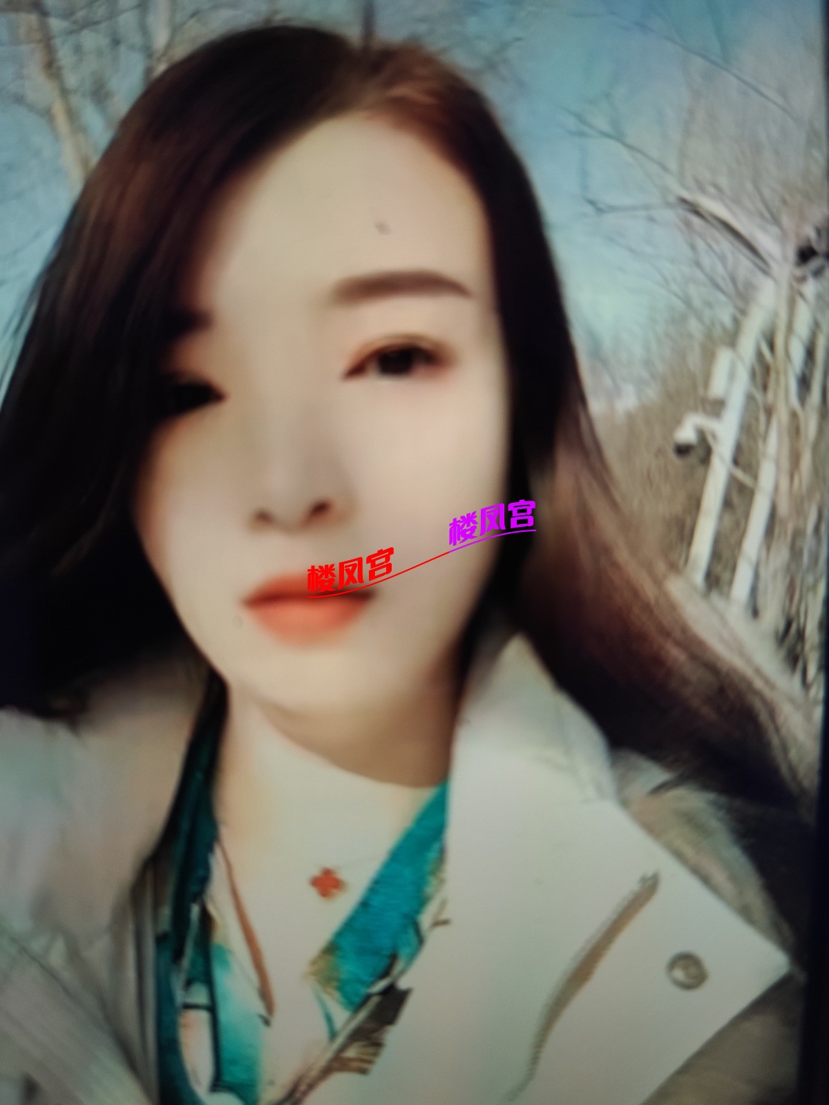 1769437428078.jpg