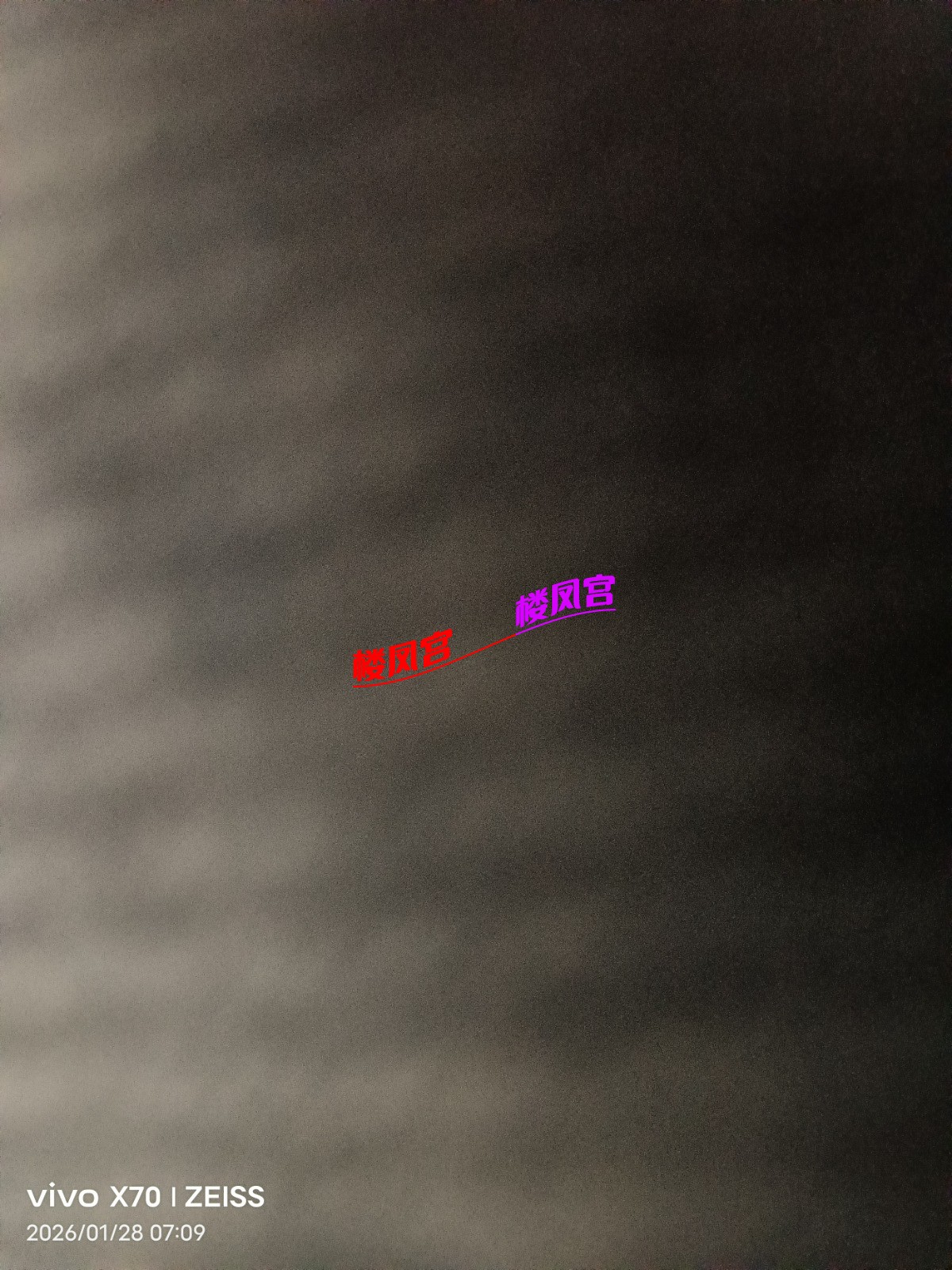 1769555357589.jpg