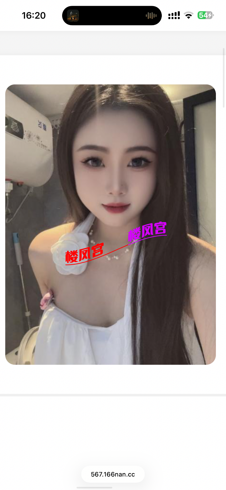 IMG_2088.png