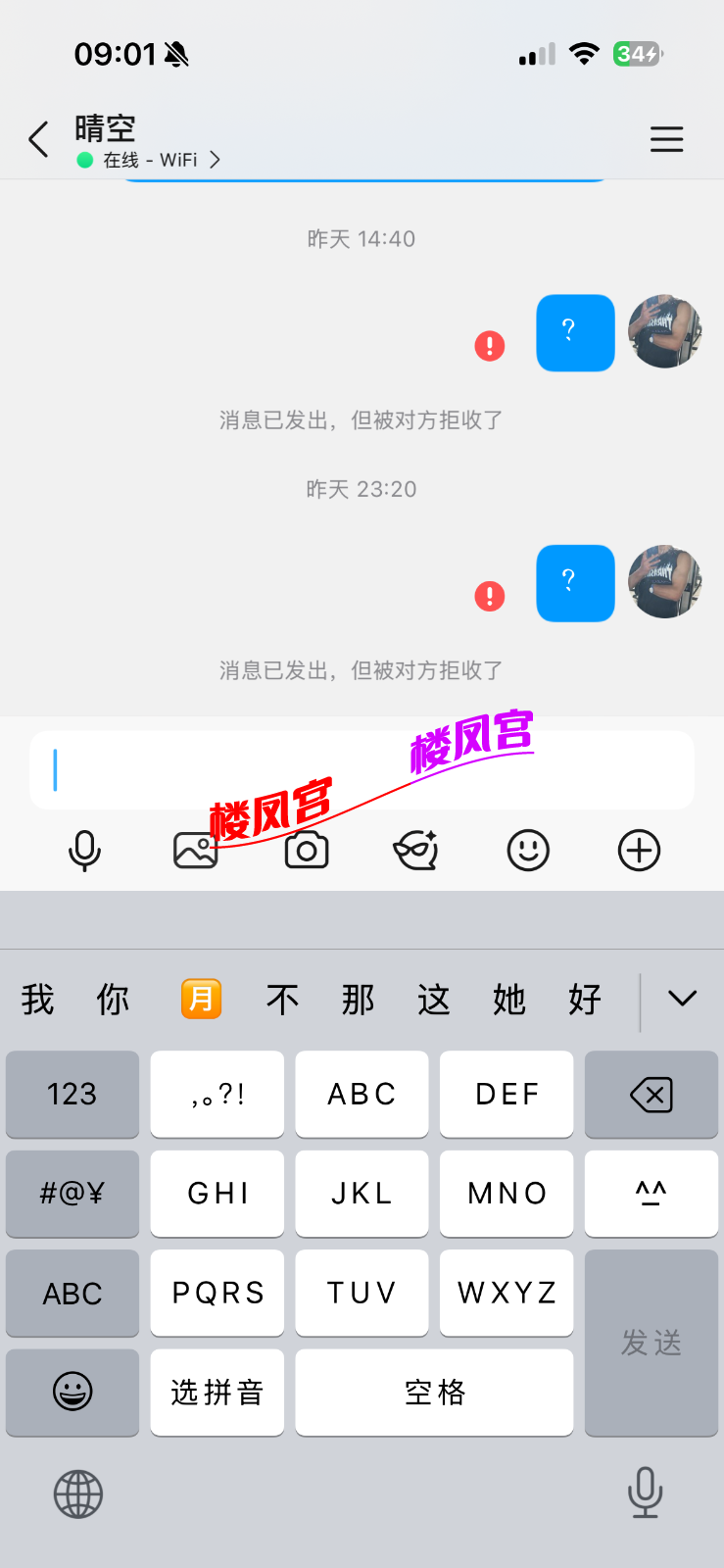 IMG_1255.png