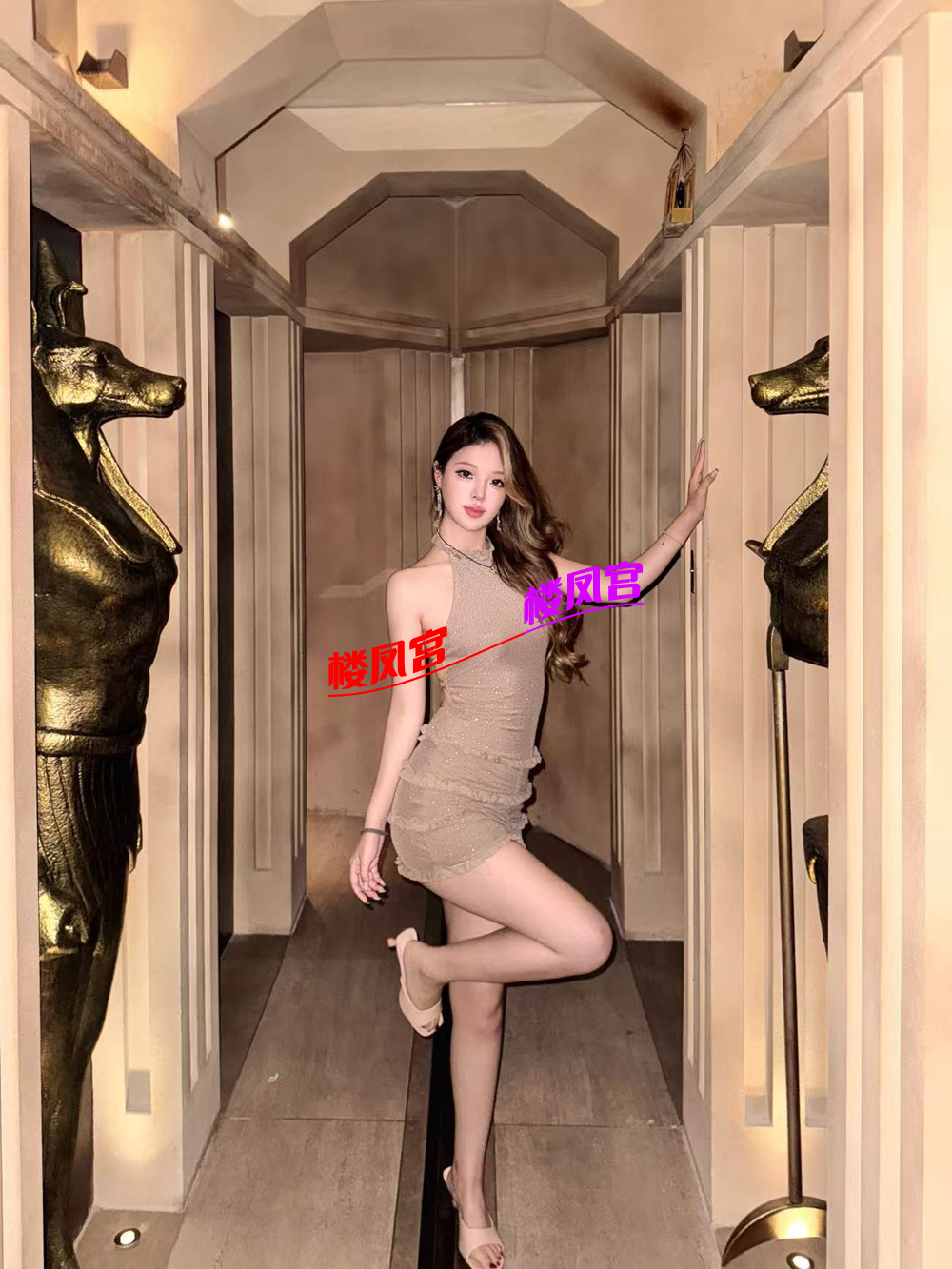 image_1771001774499.png