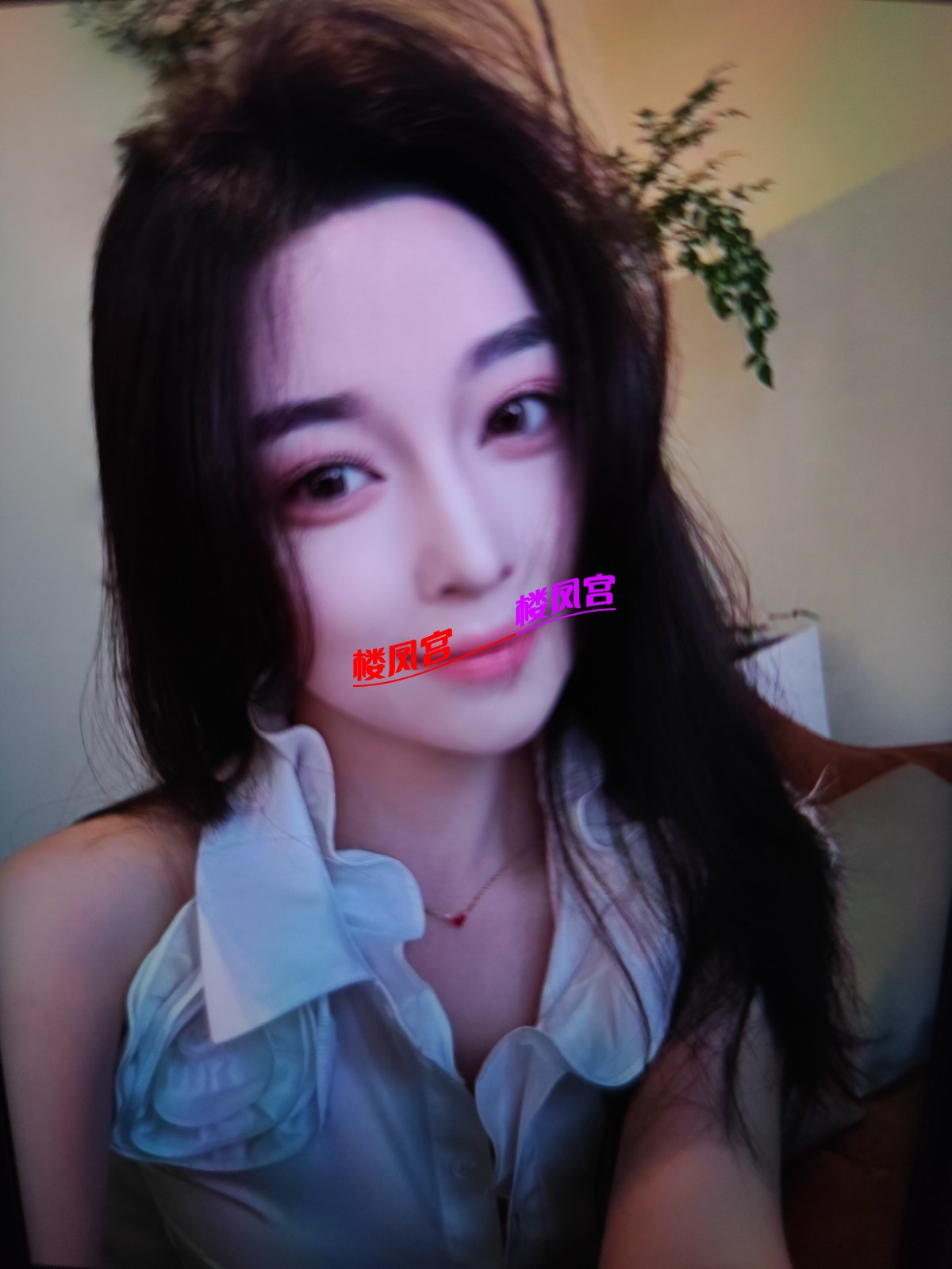 1771207083274.jpg