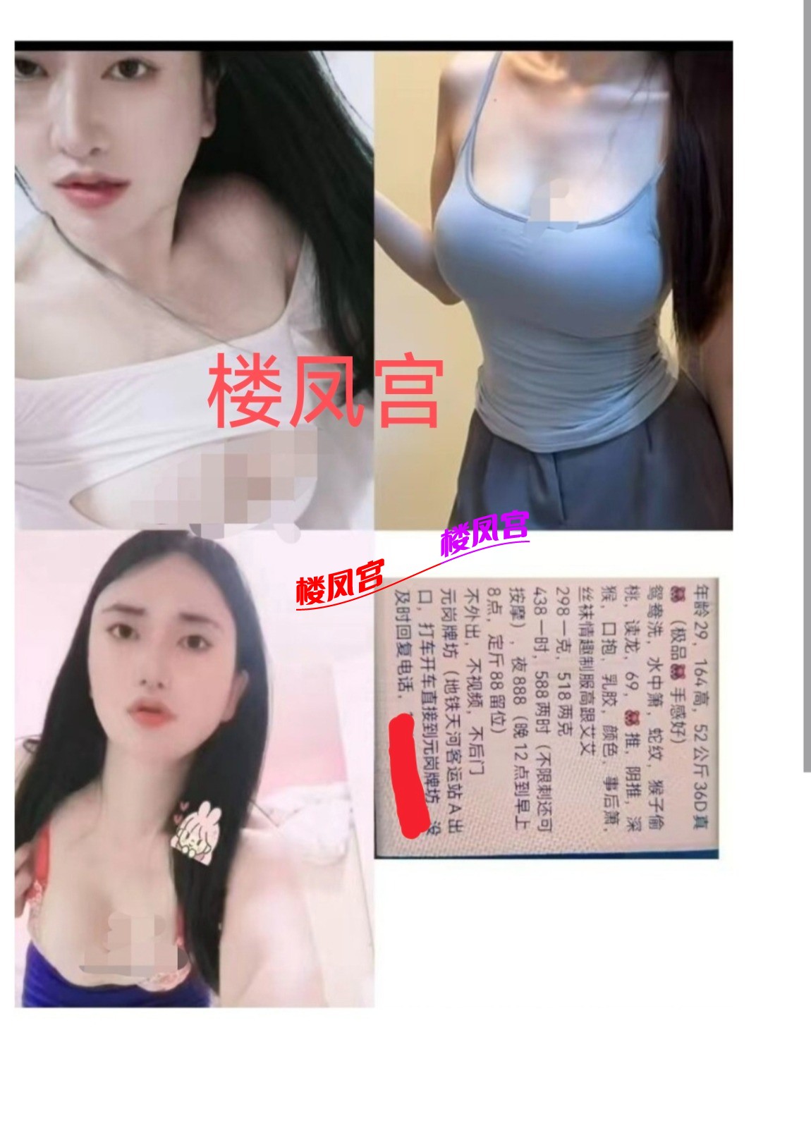1000027643.jpg