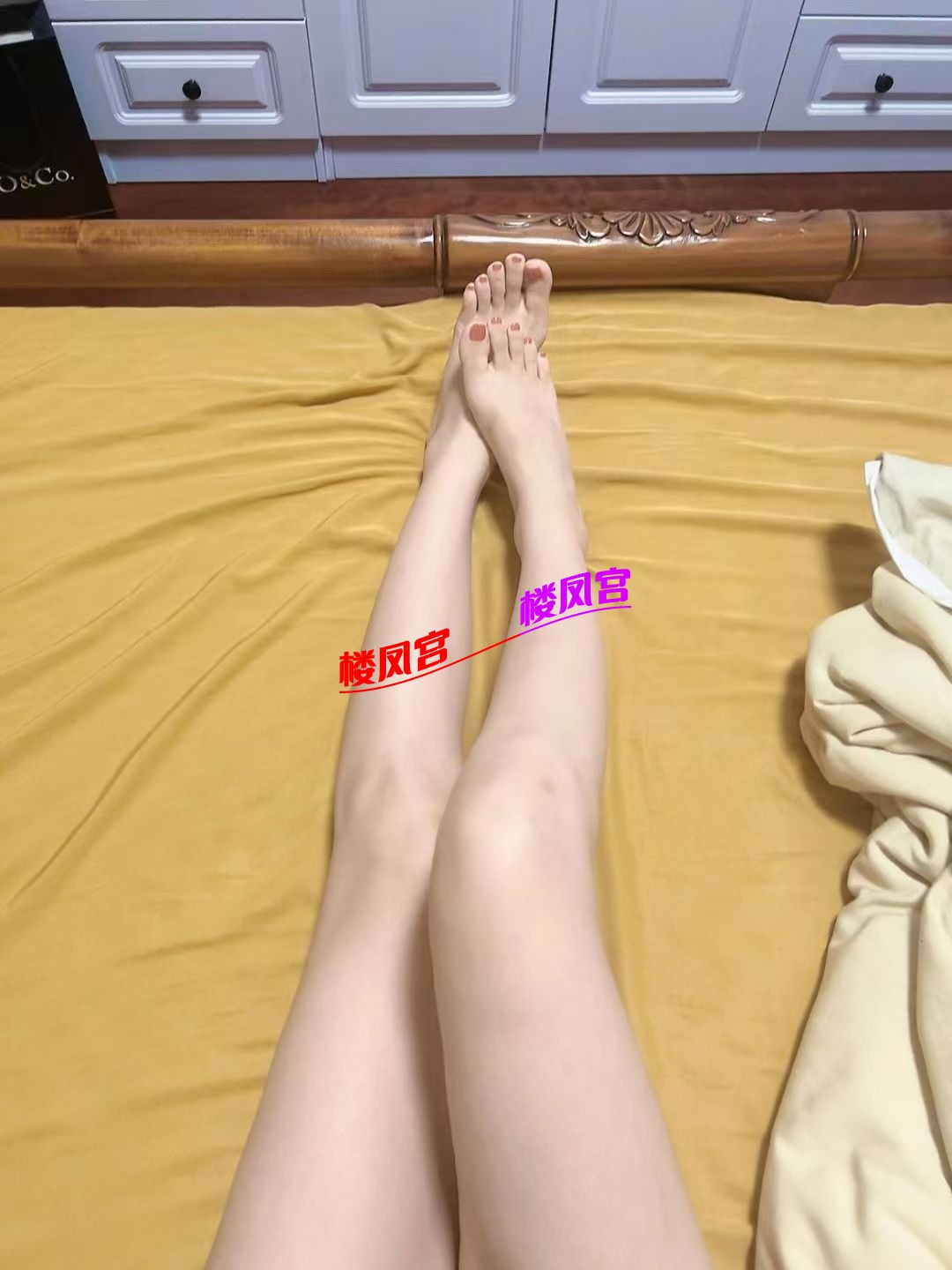 mmexport1771778719571.jpg