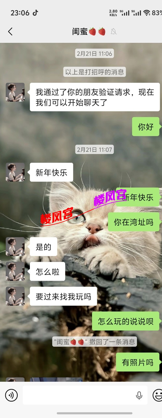 Screenshot_20260223_230636.jpg
