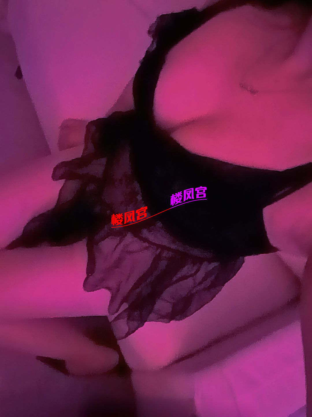 06325C408FFF39277DC8BC38D7EFAD3A.png