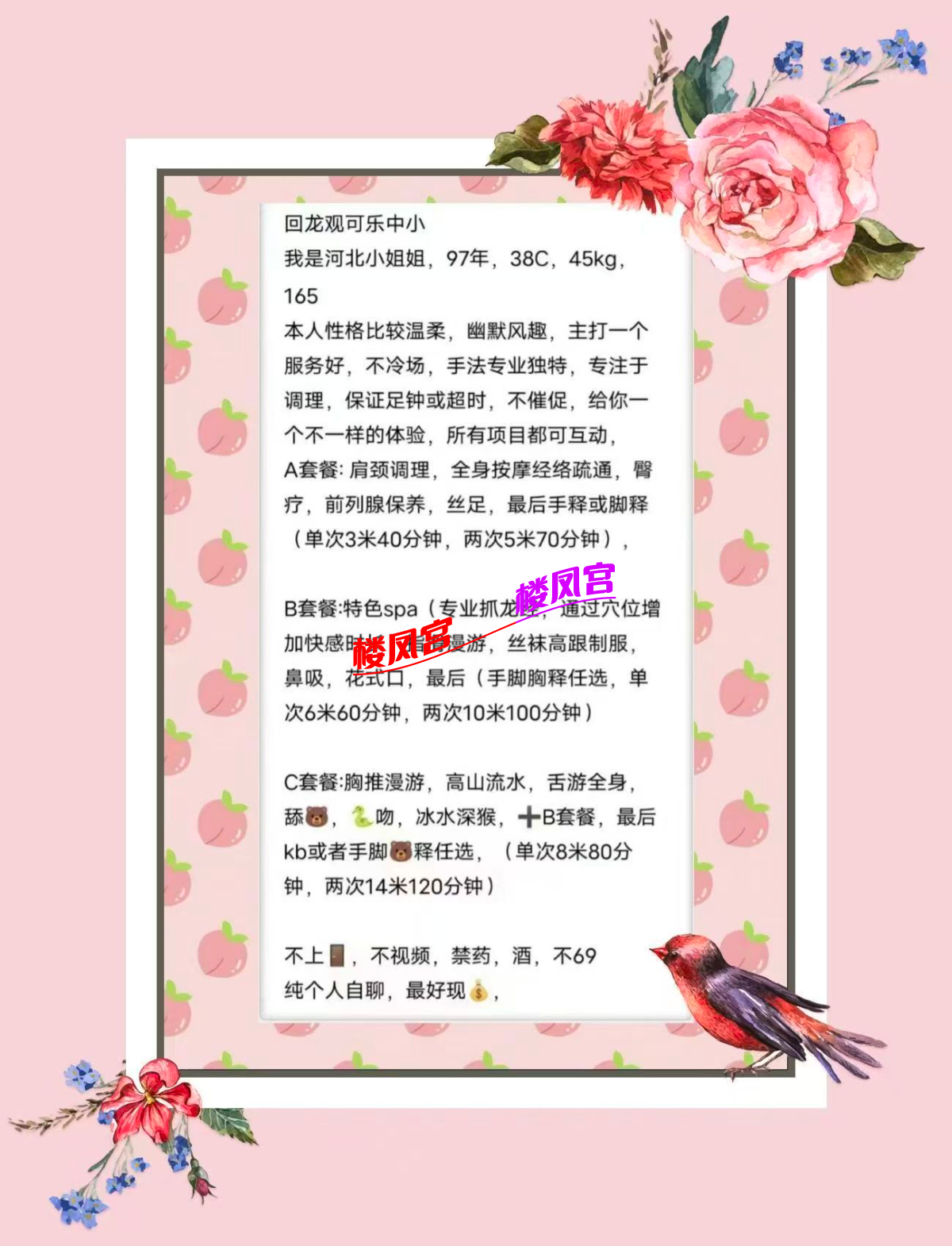 60936420C47177292ED29773E8D9A105.png