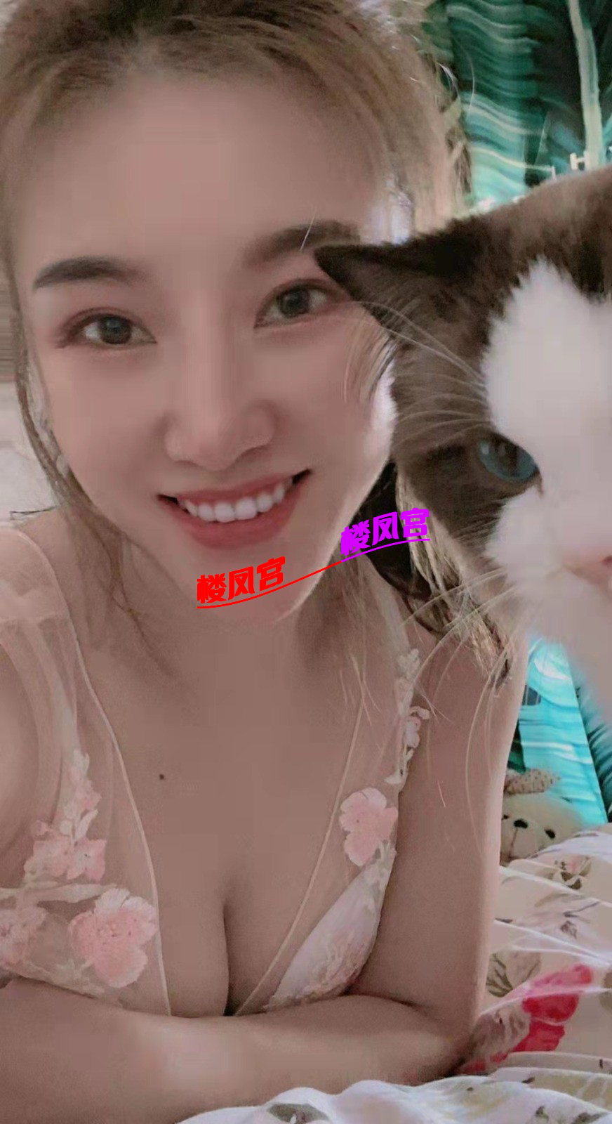 141043iusfrgcmmjebmzrc.png