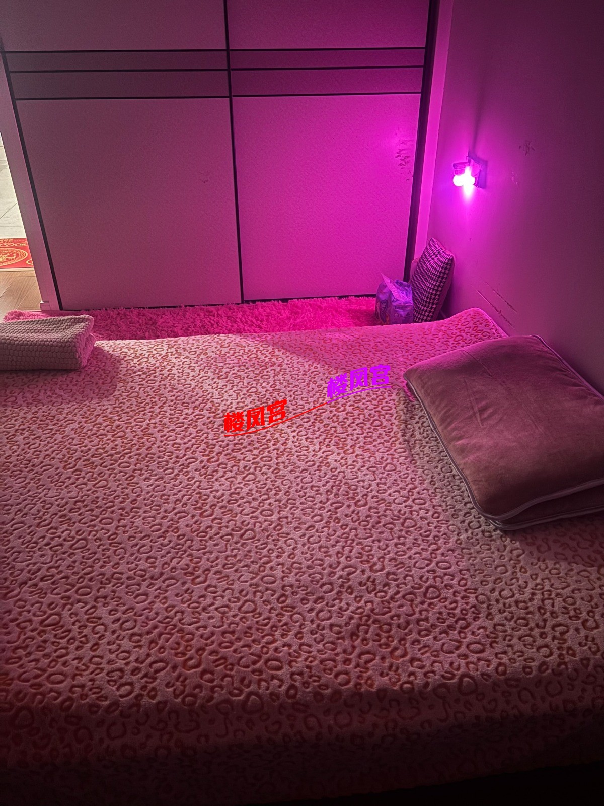 Image_1770974730360.jpg