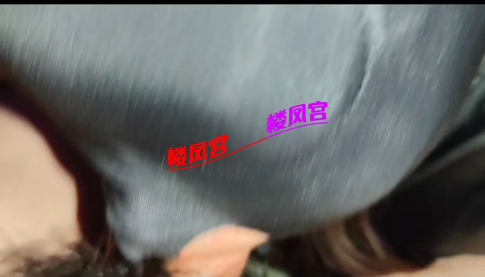 微信图片_20260318210618_45_22.jpg