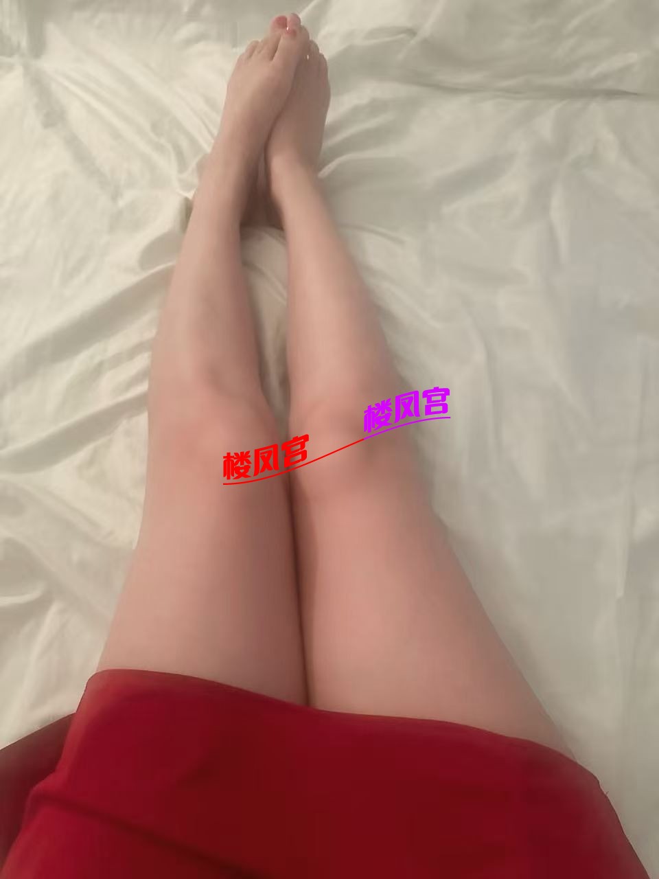 mmexport1774164810800.jpg