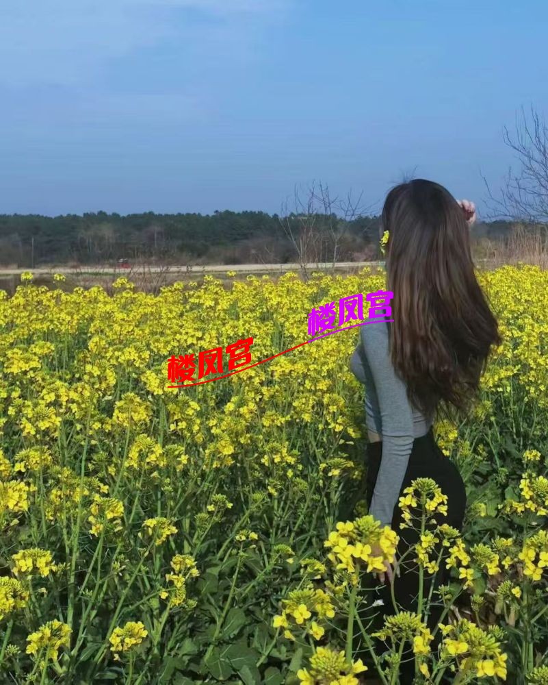 b614bc7bf67a6c39cb8cef50dbc6da5a.jpg