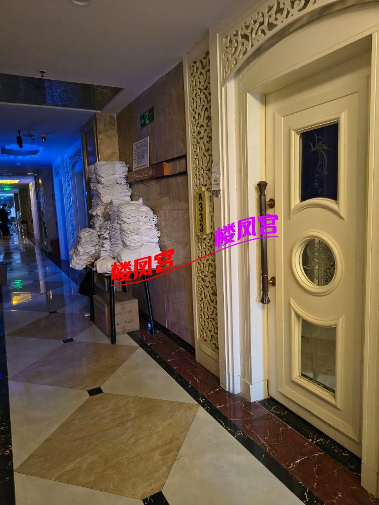 3101.jpg